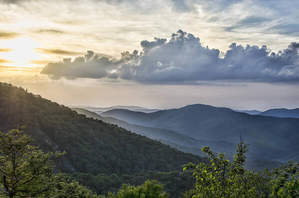 Roan Mountain Poster featuring the photograph Roan Mountain Vista by Heather Applegate