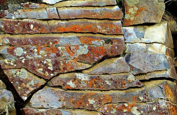 Rocks Poster featuring the photograph Rock Puzzle by Michele Penner