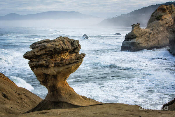  Oregon Poster featuring the photograph Rocky Oregon Coast 8 by Timothy Hacker