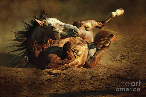 Horse Poster featuring the photograph Rolling Horse by Dimitar Hristov