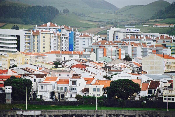Ponta Delgada Poster featuring the photograph Rooftops Of Ponta Delgada by David Coleman