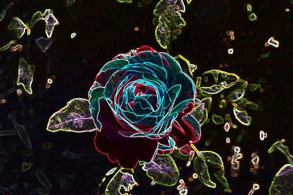 Linda Brody Poster featuring the photograph Rose Outline Abstract by Linda Brody