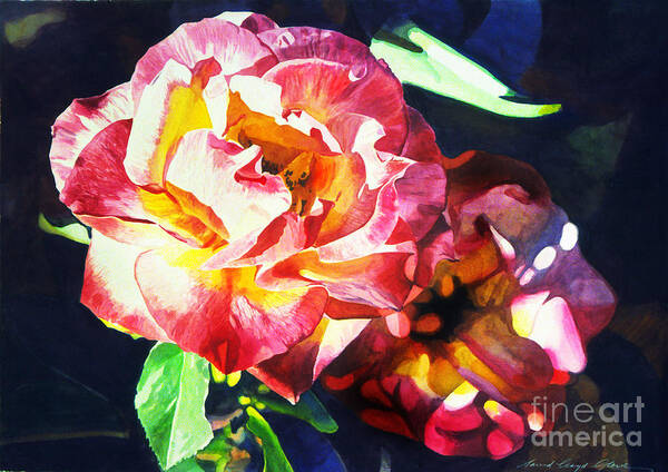 Roses Poster featuring the painting Watercolor Roses by David Lloyd Glover