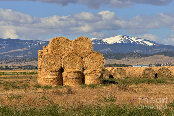 Hay Bales Poster featuring the photograph Round Hay Bales and Mountain by Kae Cheatham