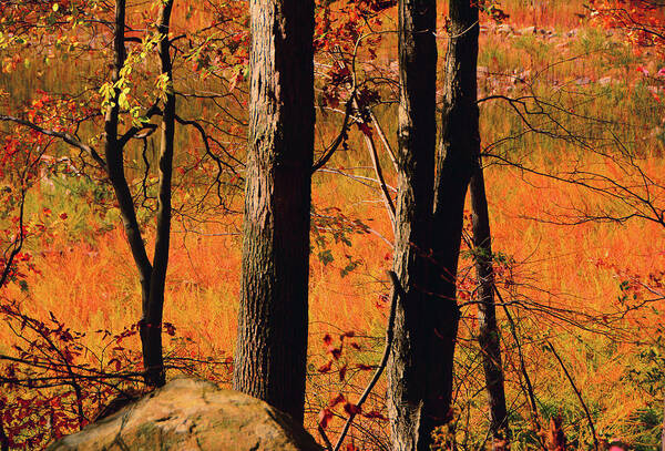 Round Valley State Park Poster featuring the photograph Round Valley State Park 3 by Raymond Salani III
