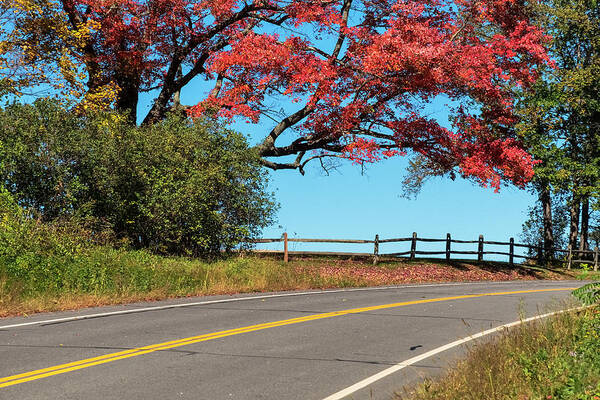 Vermont Autumn Poster featuring the photograph Route 5 Color by Tom Singleton