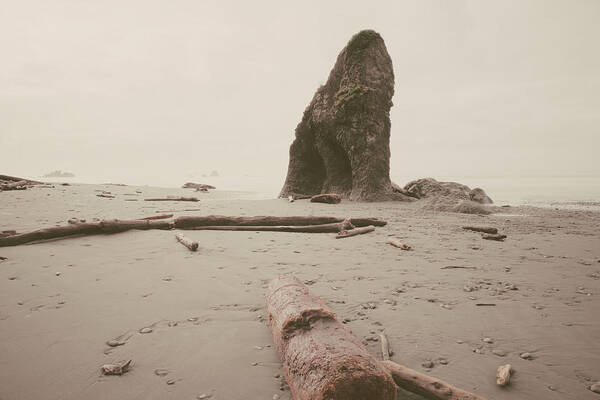 Beach Poster featuring the photograph Ruby Beach No. 16 by Desmond Manny