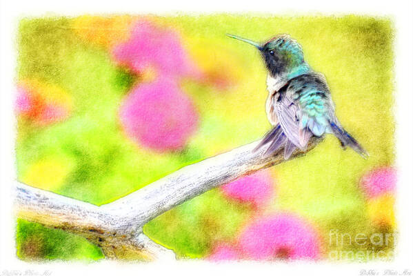 Nature Poster featuring the photograph Ruffled Hummingbird - Digital Paint 3 by Debbie Portwood