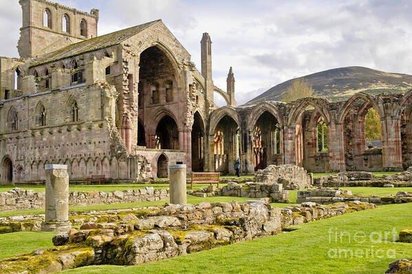 Melrose Abbey Poster featuring the photograph Ruins. Melrose Abbey. by Elena Perelman