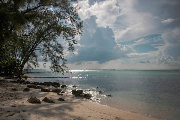 Beach Poster featuring the photograph Rum Point by Teresa Wilson