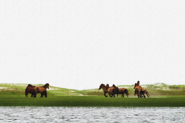 Wild Horse Poster featuring the photograph Running horses in the marsh 2 by Dan Friend
