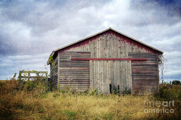 Red Barn Poster featuring the photograph Rustic Red Barn by Tamara Becker