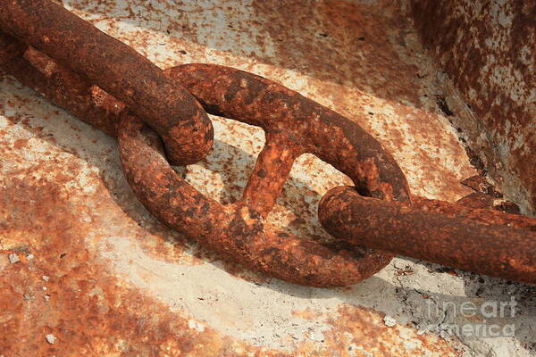 Rust Poster featuring the photograph Rusty Links 1 by Carol Groenen