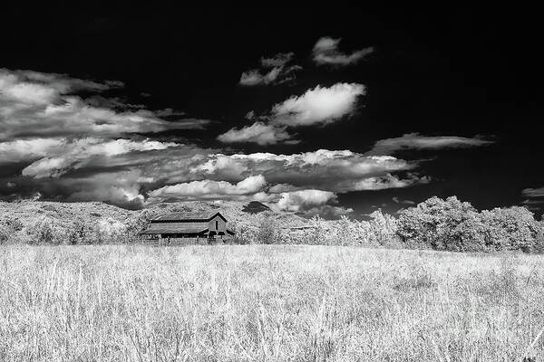 642nm Poster featuring the photograph S C Upstate Barn BW by Charles Hite