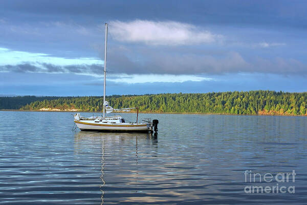 Sailboat Poster featuring the photograph Sailboat Anchored Upper Left by SAJE Photography