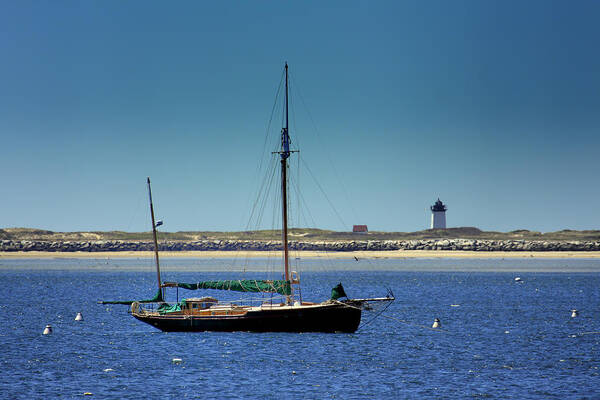 Sailboat Poster featuring the photograph Sailboat and Long Point Lighthouse by Darius Aniunas