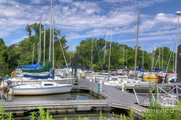 Sailboat Poster featuring the photograph Sailboats by Rod Best