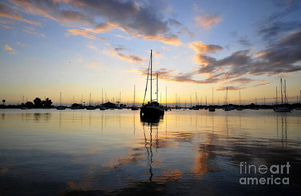 Sailing Boats Poster featuring the photograph Sailors delight by David Lee Thompson
