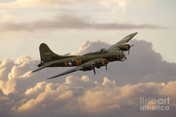 B17 Poster featuring the digital art Sally B by Airpower Art