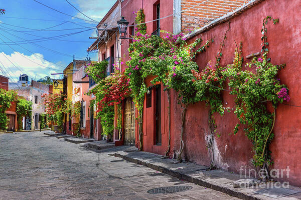 Street Poster featuring the photograph San Miguel Streets by David Meznarich