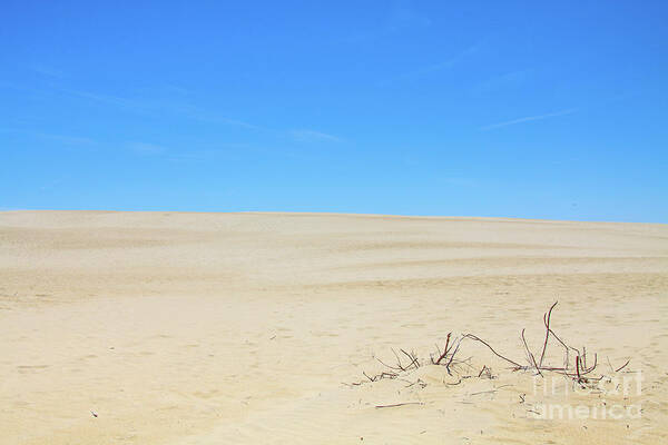 Sand And Sky Jockey Ridge Poster featuring the photograph Sand and Sky Jockey Ridge by Randy Steele