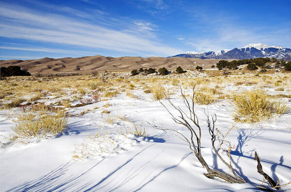 Snow Poster featuring the photograph Sand and Snow by Michael Dawson