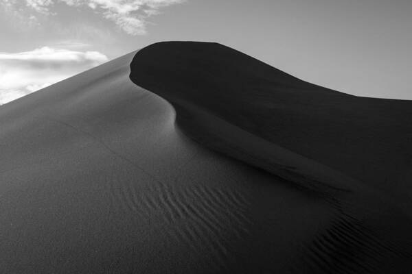 Sand Dune Poster featuring the photograph Sand Dune Beetle Tracks by TM Schultze