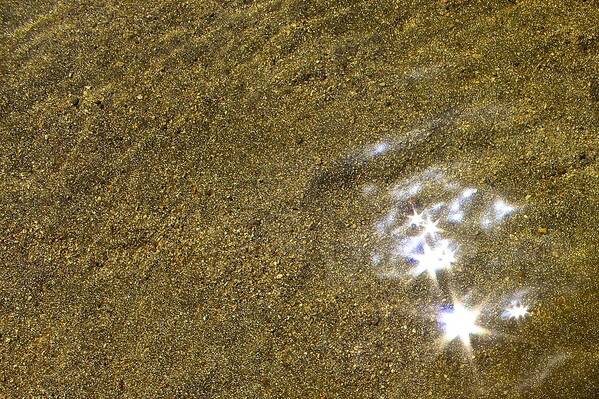 Landscape Poster featuring the photograph Sand Stars by FlyingFish Foto