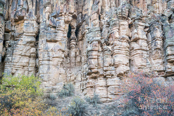 Colorado Poster featuring the photograph Sandstone Cliff With Columns And Pillars by Marek Uliasz