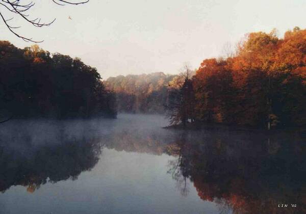 Fall Leaves Poster featuring the photograph Sandy Mist by Lin Grosvenor