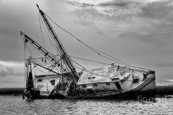 Shrimp Boat Poster featuring the photograph Sassy Lady in Repose by Dawna Moore Photography