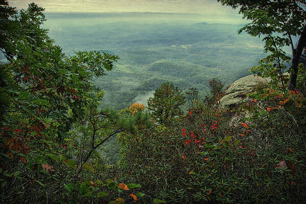 Caesars Head State Park Poster featuring the photograph Scenic Overlook-Caesar's Head State Park SC by Neil Doren