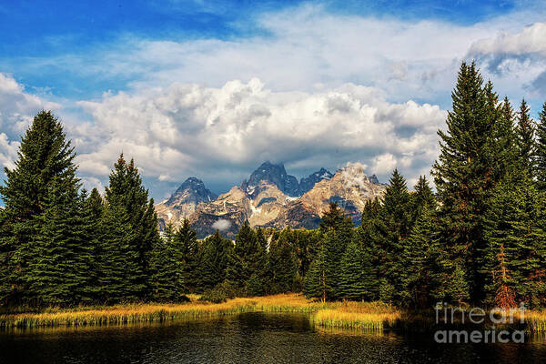 Schwabacher Poster featuring the photograph Schwabacher Landing by Rodney Cammauf