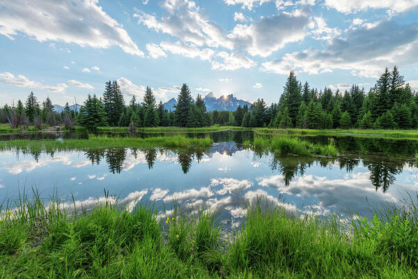 Tetons Poster featuring the photograph Schwabacher's Landing by Dustin LeFevre