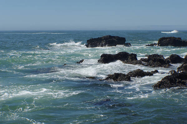 Adria Trail Poster featuring the photograph Sea Therapy by Adria Trail