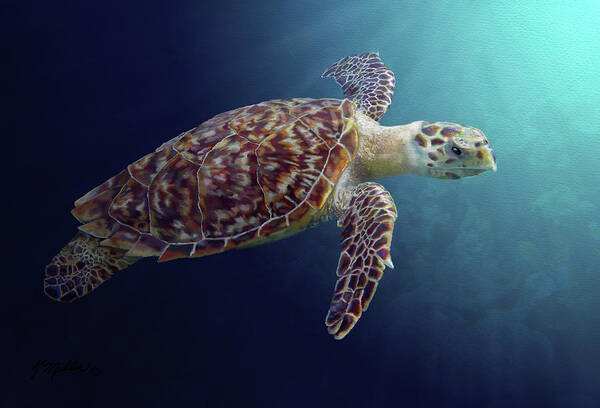 Sea Turtle Poster featuring the painting Sea Turtle by Kathie Miller