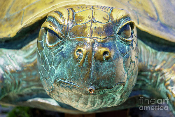Al Poster featuring the photograph Sea Turtle Statue Gulf Shores AL 1590a by Ricardos Creations