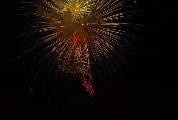 Seaworld Poster featuring the photograph SeaWorld Fireworks 3 by Phyllis Spoor