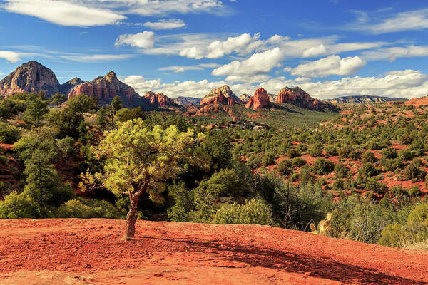 Sedona Poster featuring the photograph Sedona Afternoon by James Eddy
