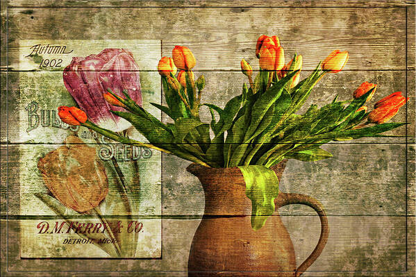 Flowers Poster featuring the photograph Seed To Flower by John Anderson