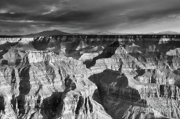 Bright Angel Point Trail Poster featuring the photograph Shadows on the Grand Canyon by Tamara Becker