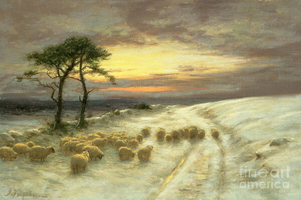 Sheep Poster featuring the painting Sheep in the Snow by Joseph Farquharson