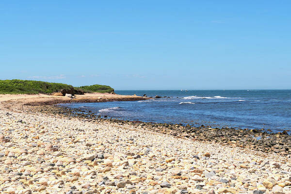 Shore Poster featuring the photograph Montauk Shore Long Island New York by Klm Studioline