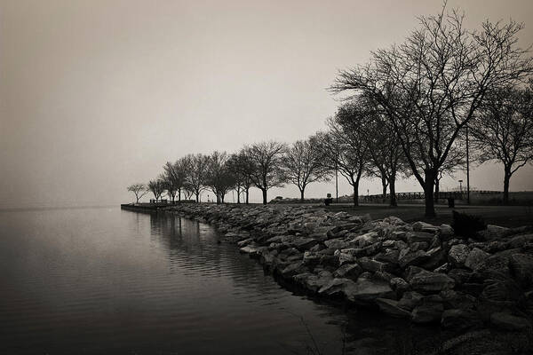 Foggy Landscape Poster featuring the photograph Shoreline Mist by Shawna Rowe