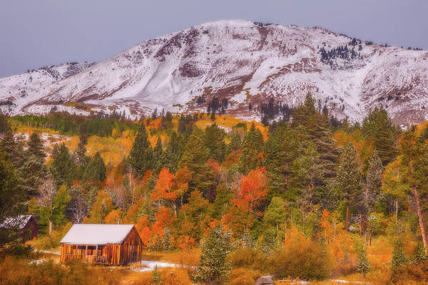 Landscape Poster featuring the photograph Sierra Cabin With Autumn Colors and Snow by Marc Crumpler