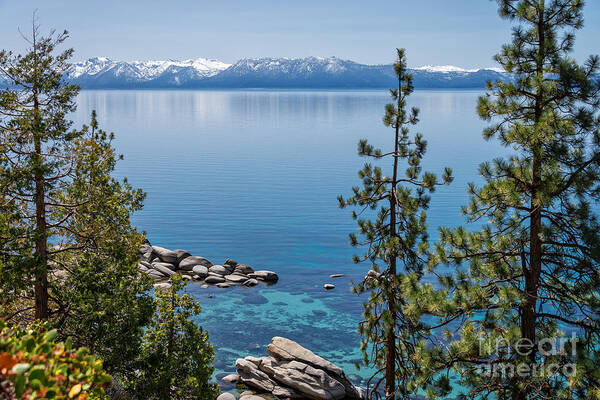 Lake Tahoe Poster featuring the photograph Sierra Nevada Reflection by Dianne Phelps