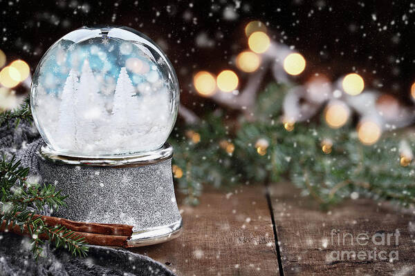 Snowglobe Poster featuring the photograph Silver Snow Globe with White Christmas Trees by Stephanie Frey