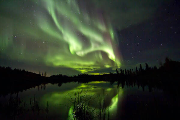 Aurora Poster featuring the photograph Sky Lights by Valerie Pond