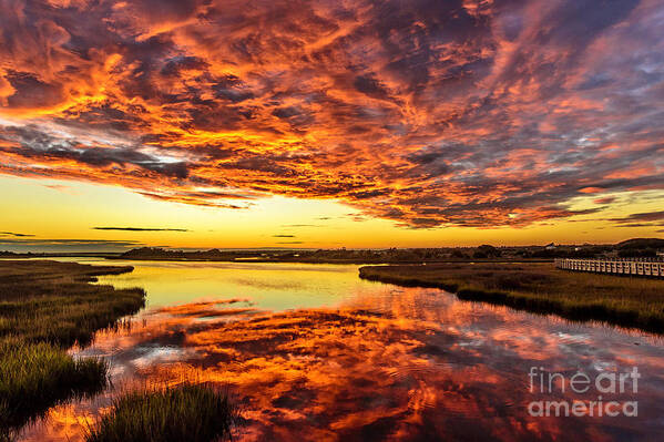 Sunset Poster featuring the photograph Sky on Fire by DJA Images