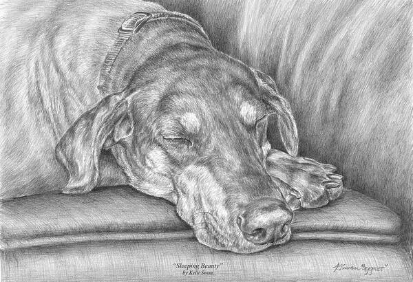 Doberman Poster featuring the drawing Sleeping Beauty - Doberman Pinscher Dog Art Print by Kelli Swan